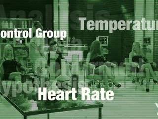 Порно анал игрушки бдсм