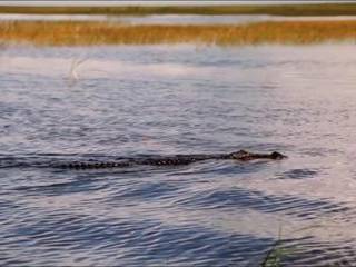 Любительское домашнее частное секс порно в контакте